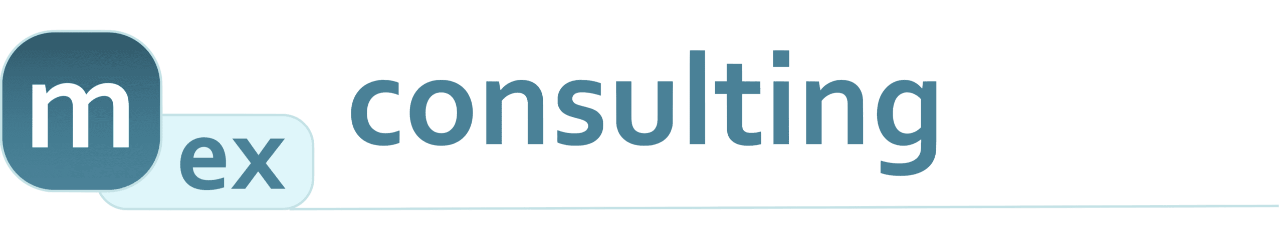 mex consulting